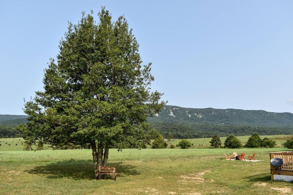 Holly Tree Retreat Located In Beautiful Luray, Va. Villa Buitenkant foto