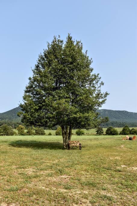 Holly Tree Retreat Located In Beautiful Luray, Va. Villa Buitenkant foto