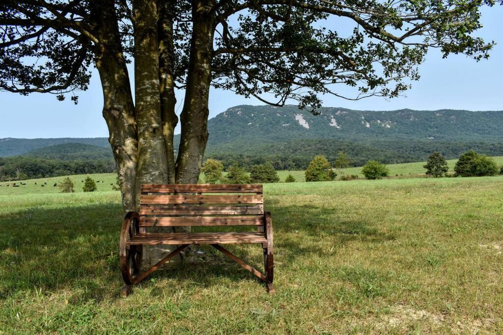 Holly Tree Retreat Located In Beautiful Luray, Va. Villa Buitenkant foto