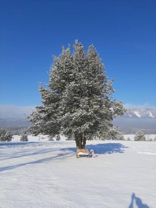 Holly Tree Retreat Located In Beautiful Luray, Va. Villa Buitenkant foto