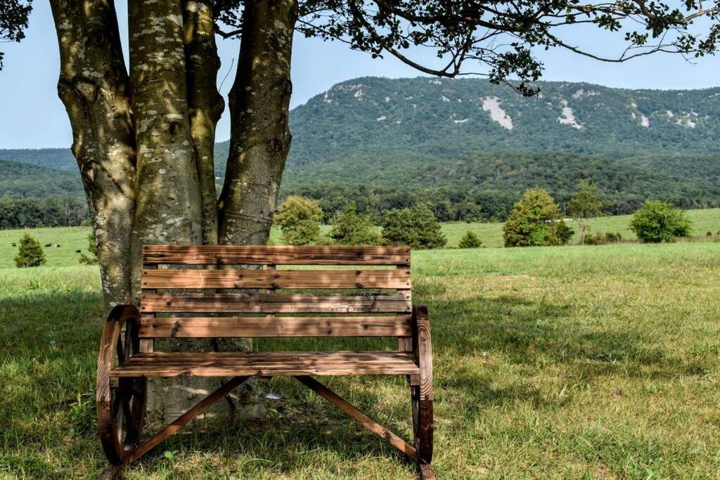 Holly Tree Retreat Located In Beautiful Luray, Va. Villa Buitenkant foto