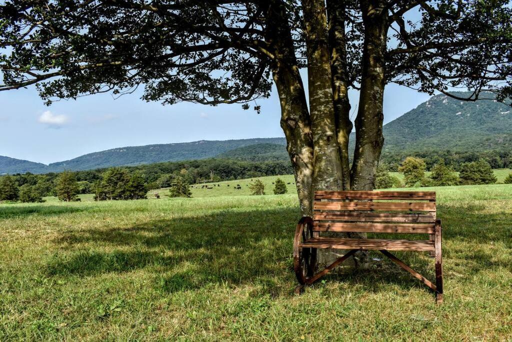 Holly Tree Retreat Located In Beautiful Luray, Va. Villa Buitenkant foto